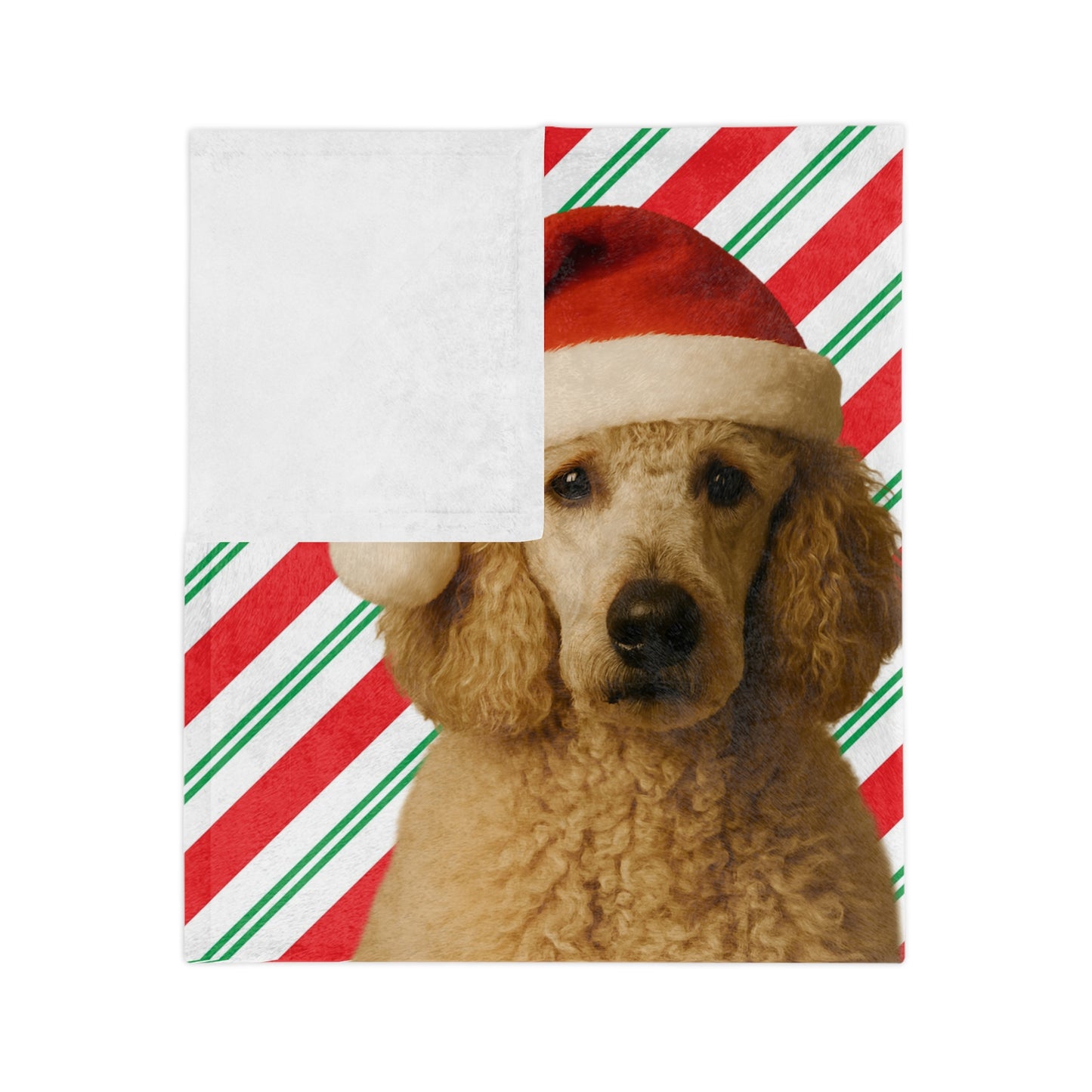 Santa Paws Poodle Velveteen Microfiber Blanket
