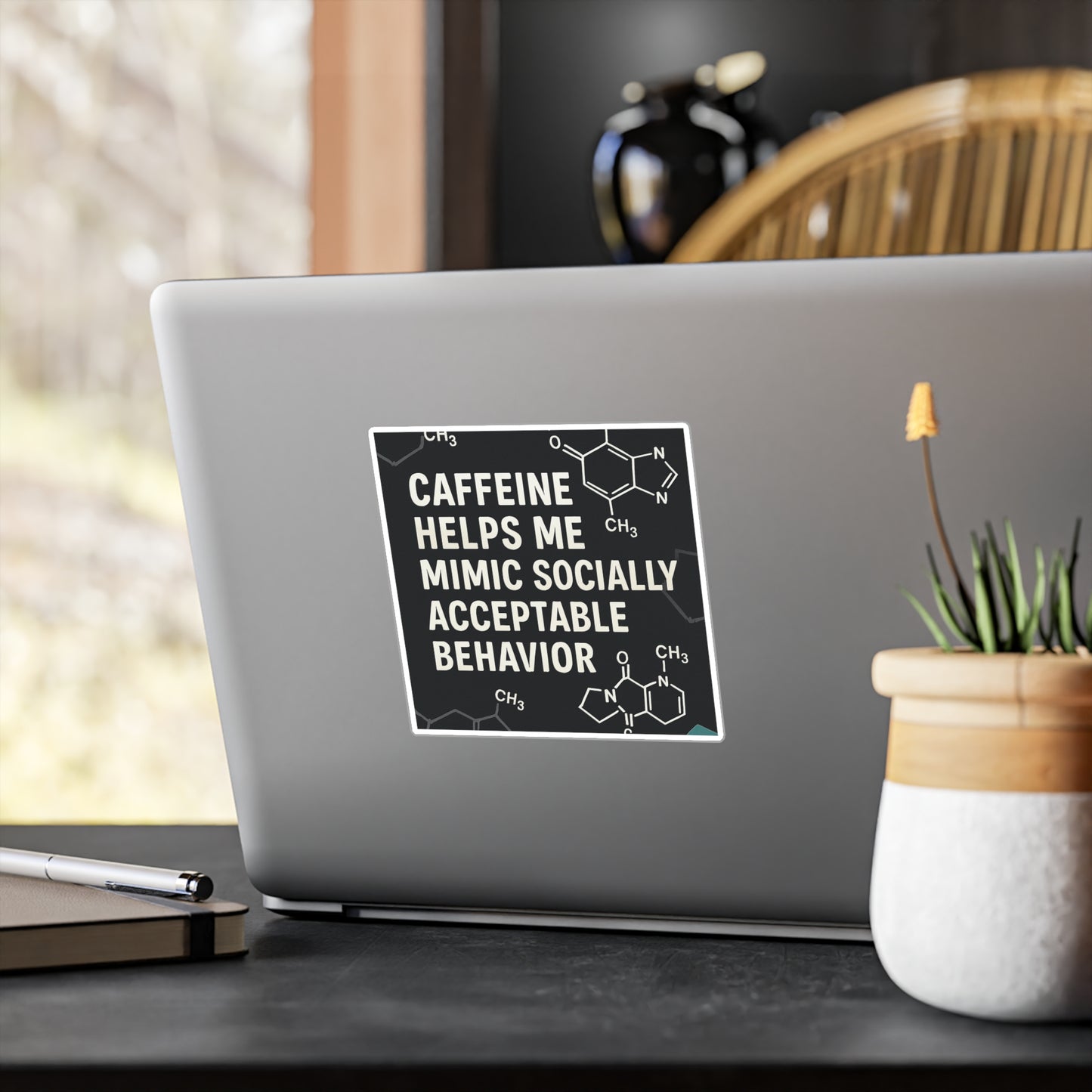 Socially Acceptable Vinyl Decal