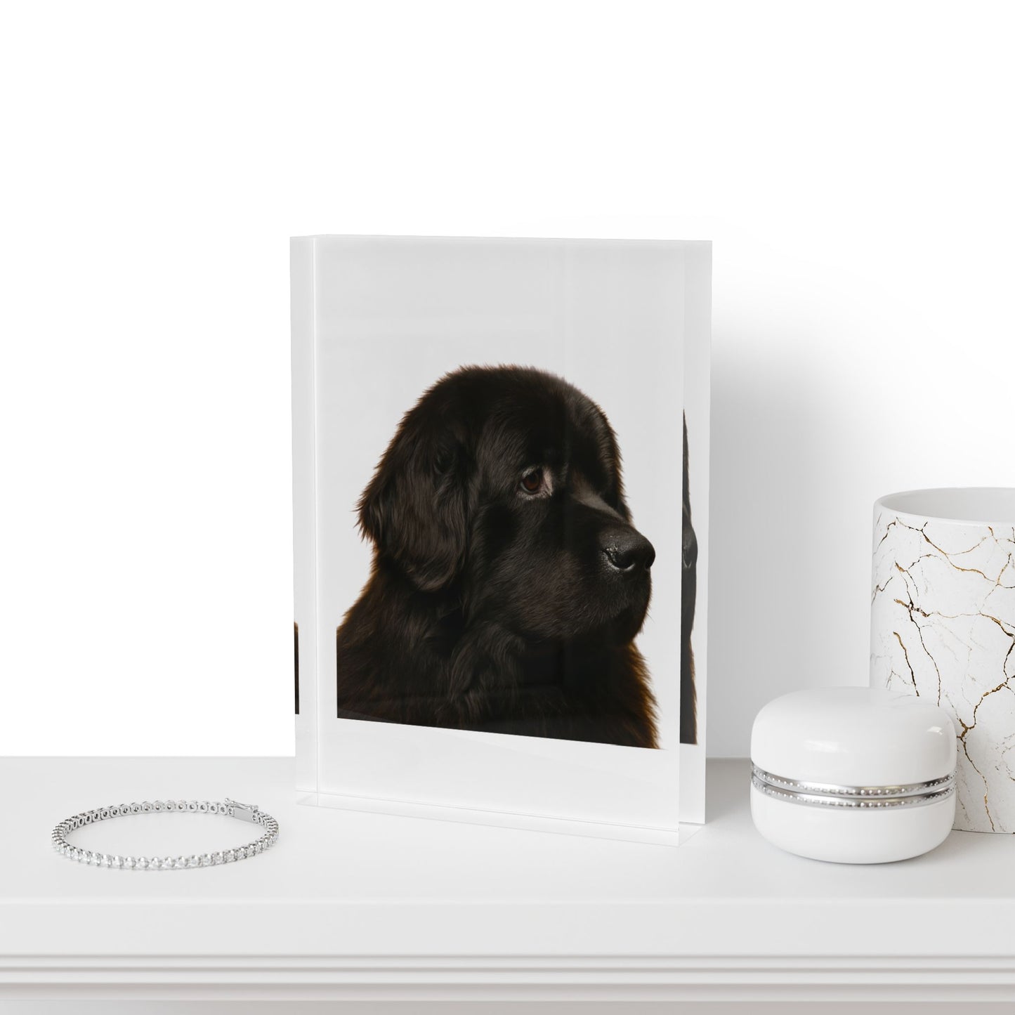 Newfie Head Acrylic Photo Block