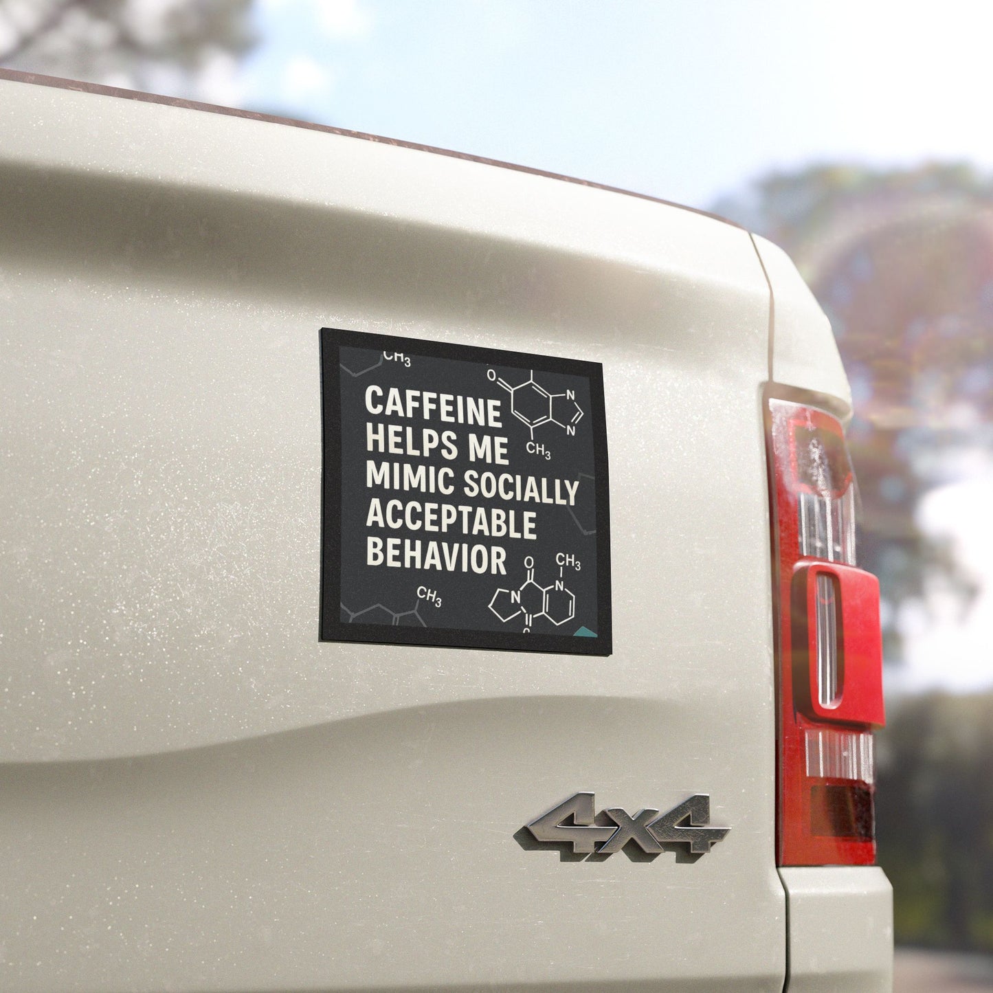 Socially Acceptable Indoor/Outdoor Magnet