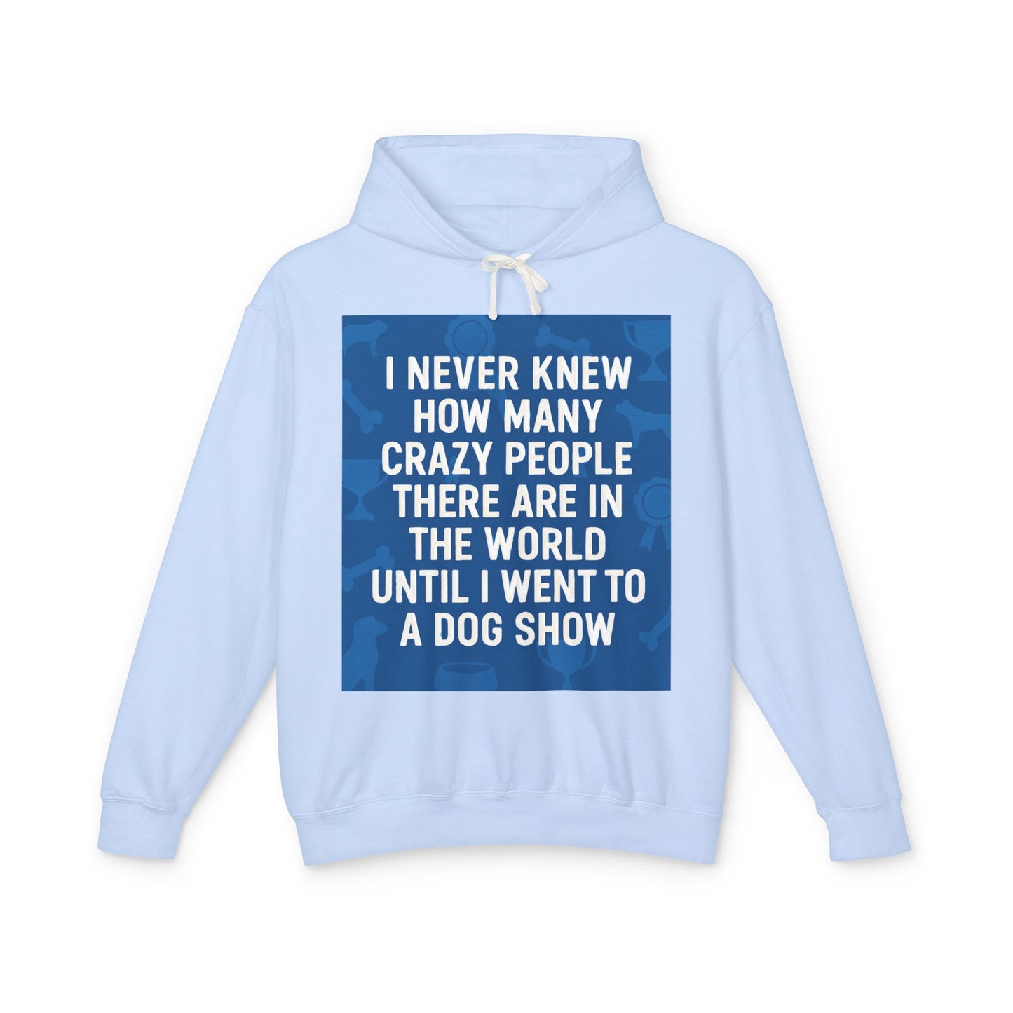 Never Knew Unisex Lightweight Hoodie