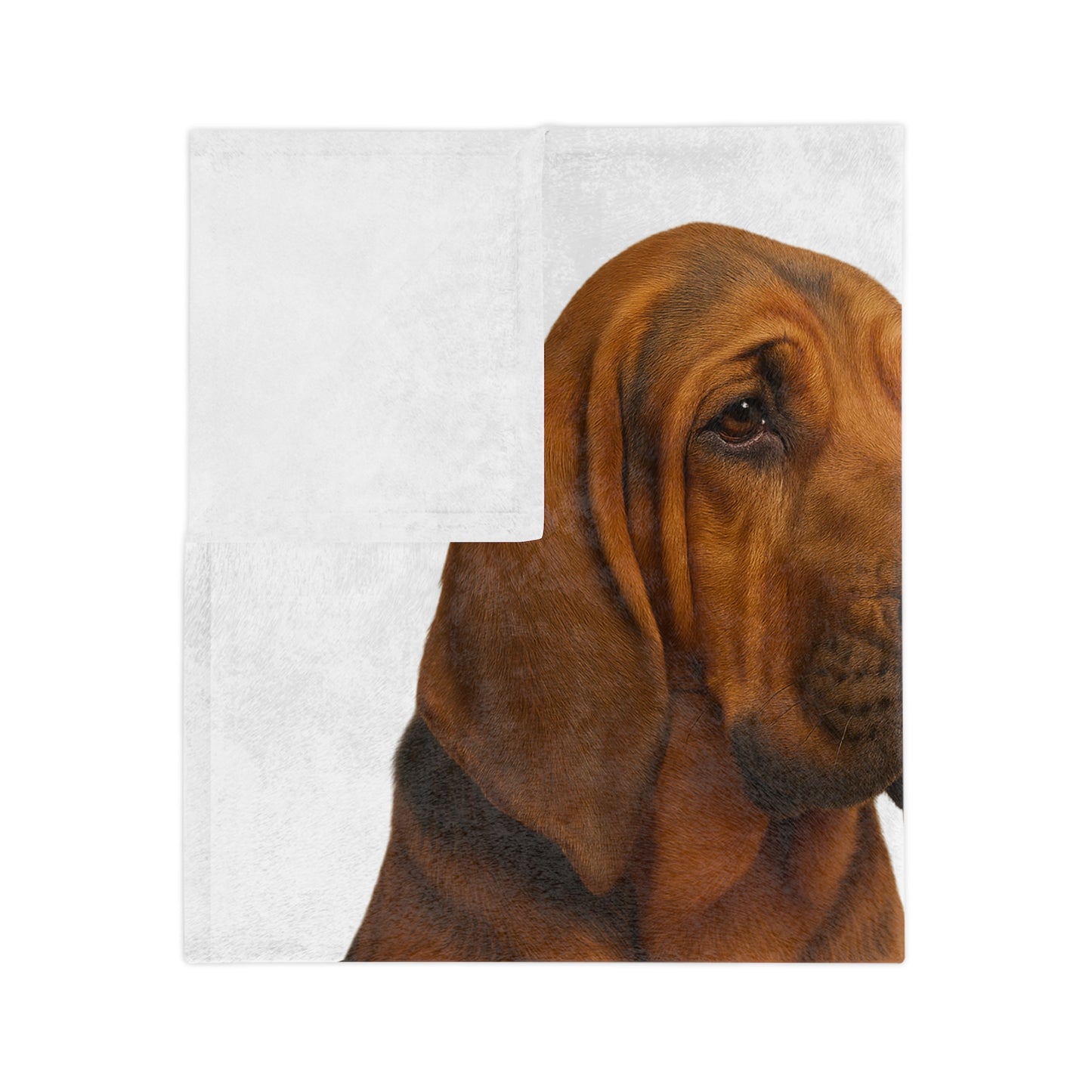 Bloodhound Head Velveteen Microfiber Blanket