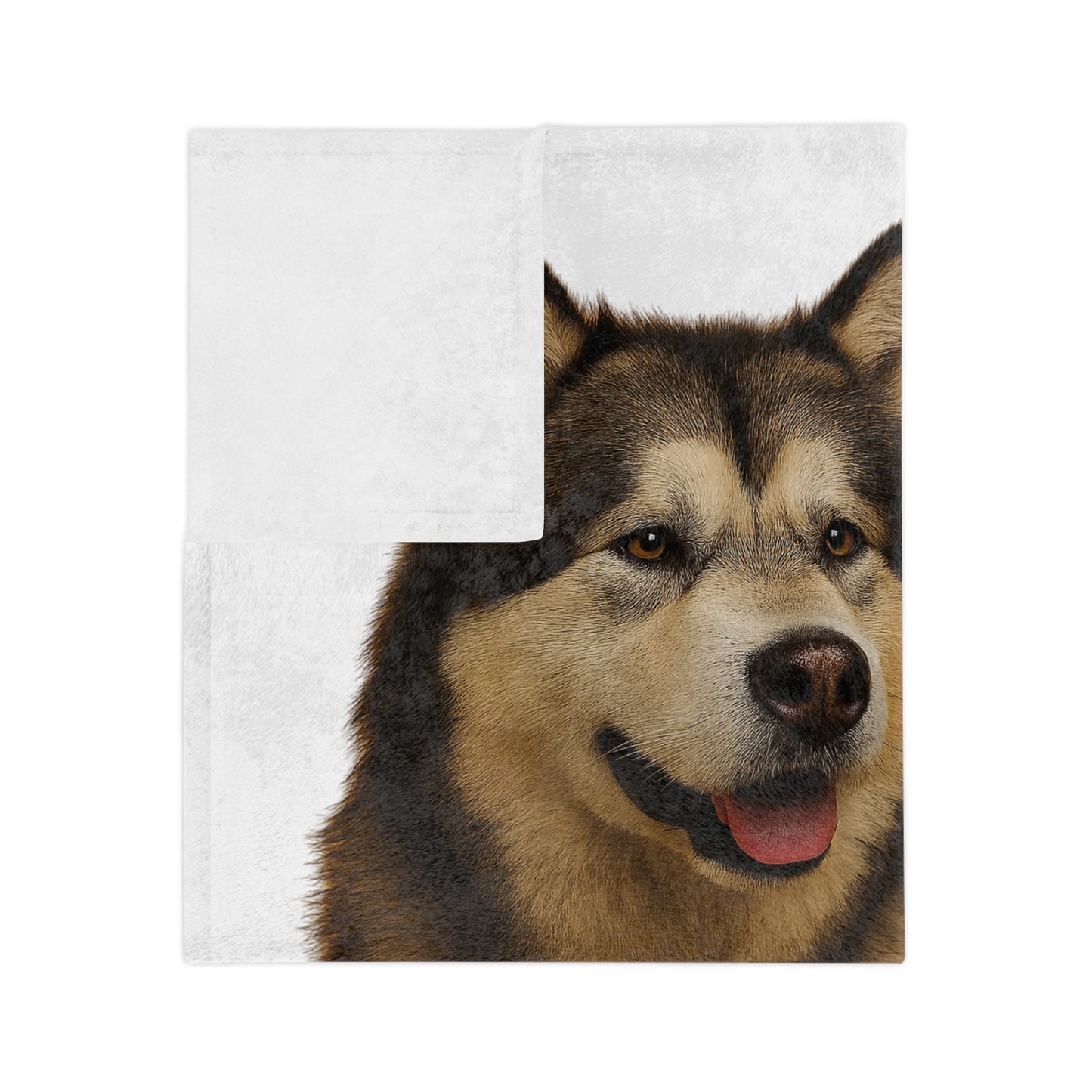 Malamute Head Velveteen Microfiber Blanket