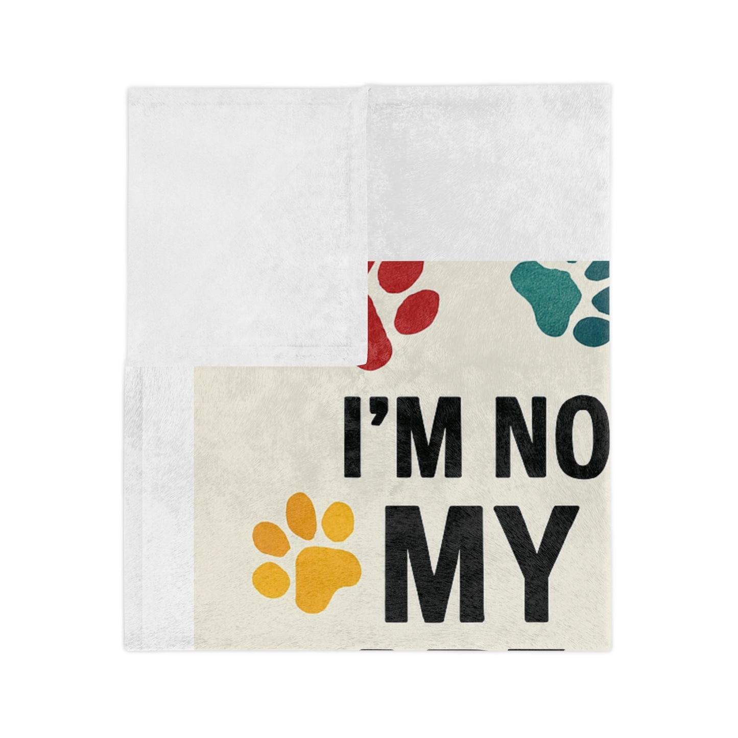 Special Definition Velveteen Microfiber Blanket