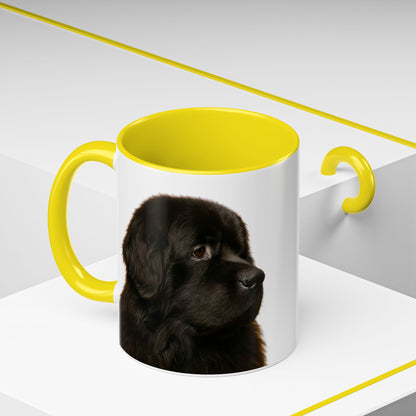 Newfie Head 2-Tone Coffee Mug