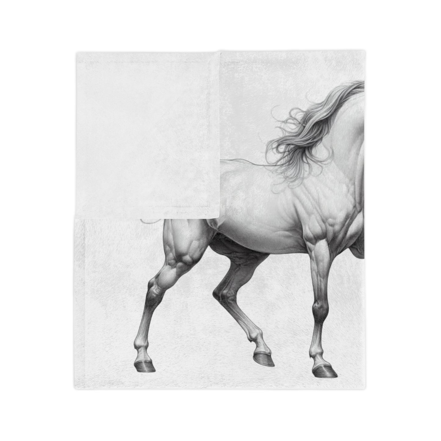 Fancy Pants Velveteen Microfiber Blanket