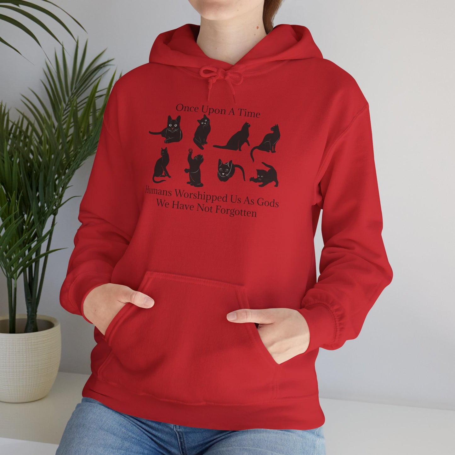 Once Upon A Time Unisex Hoodie