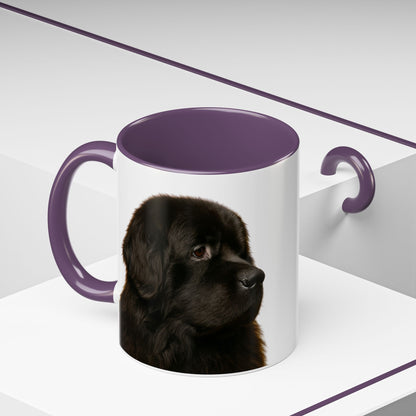 Newfie Head 2-Tone Coffee Mug
