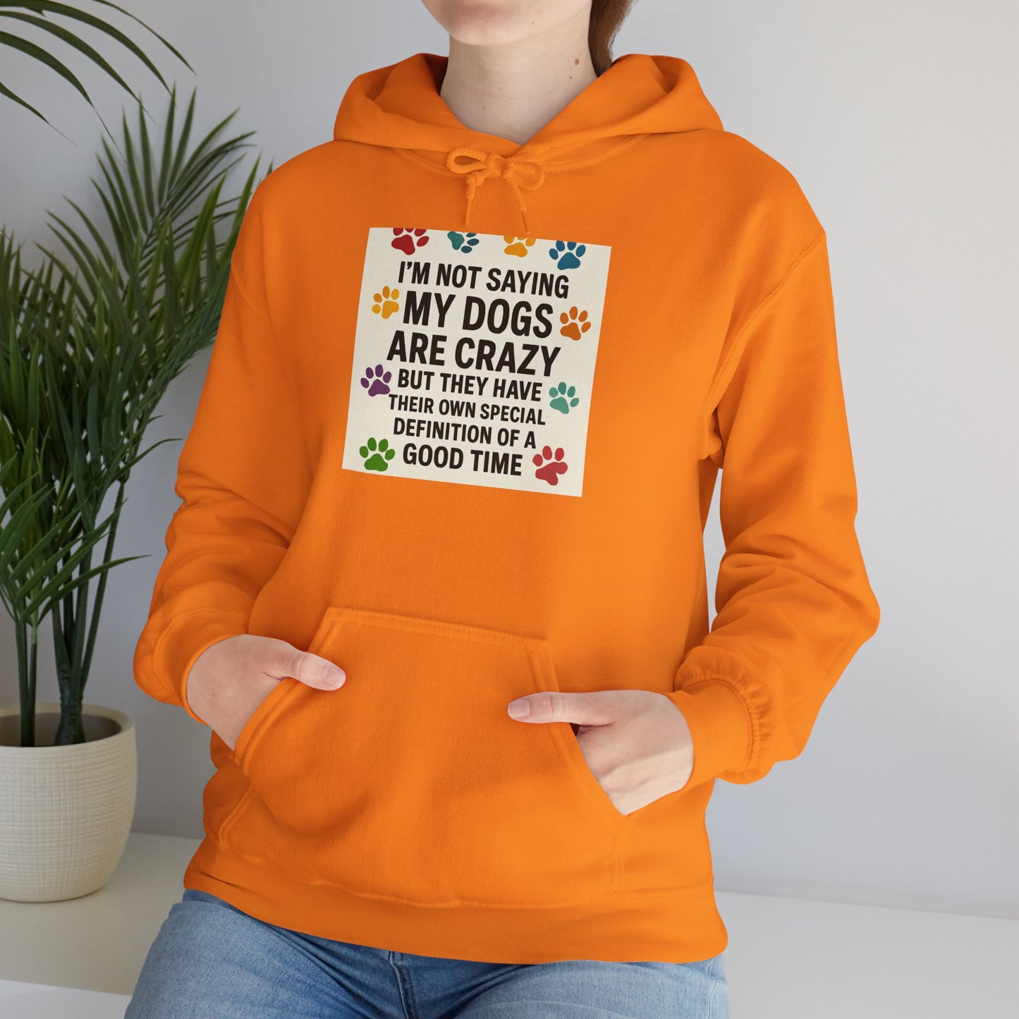 Special Definition Unisex Hoodie