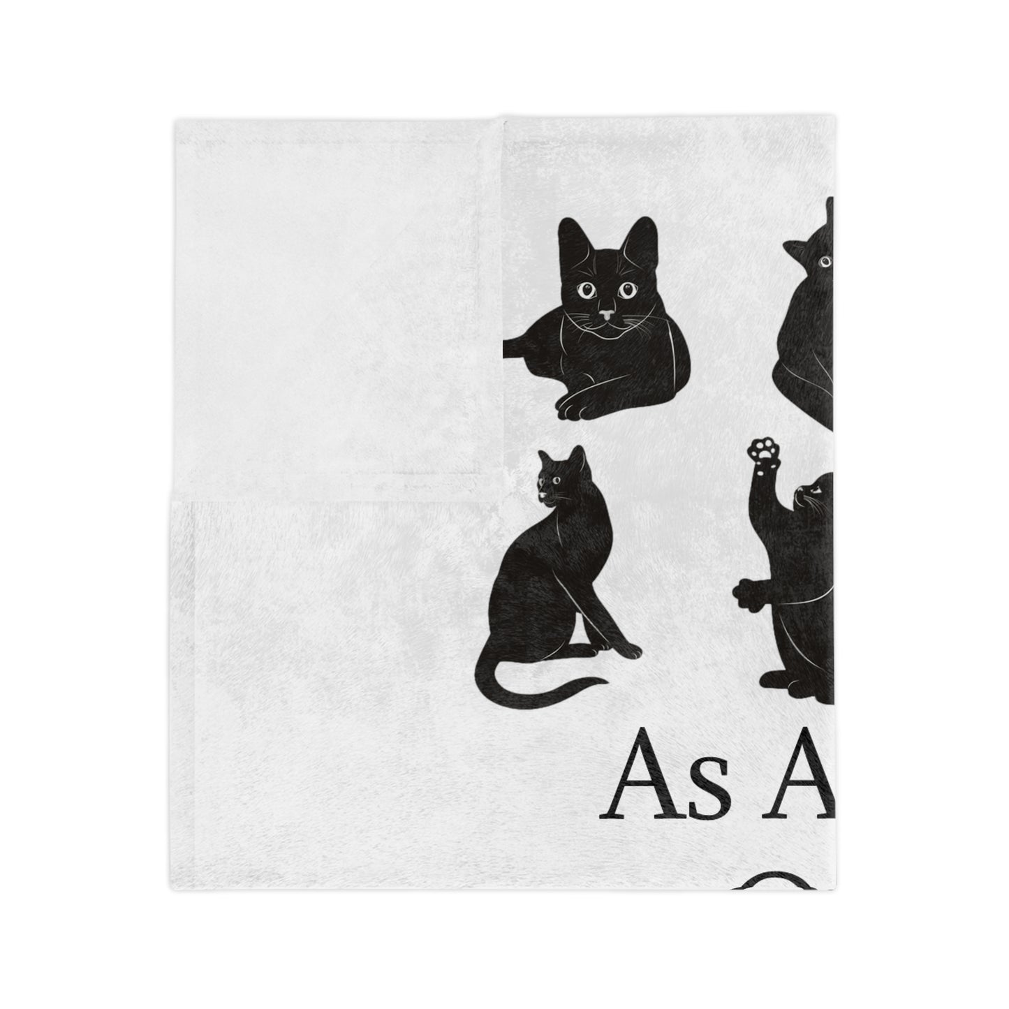 Matter Of Fact Cat Velveteen Microfiber Blanket