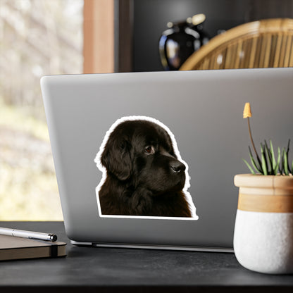 Newfie Head Vinyl Decal