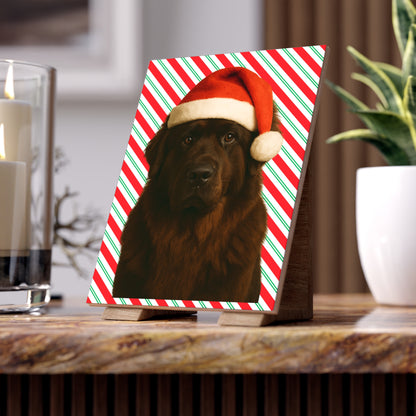 Santa Paws Newfie Ceramic Photo Tile