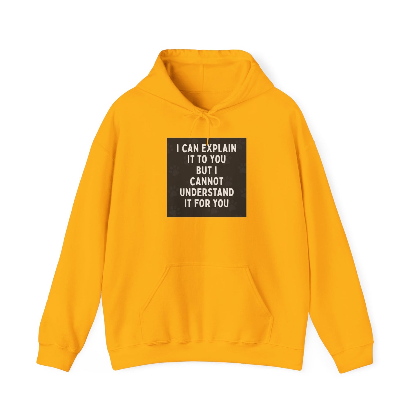 I Cannot Understand It For You Unisex Hoodie