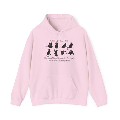 Once Upon A Time Unisex Hoodie