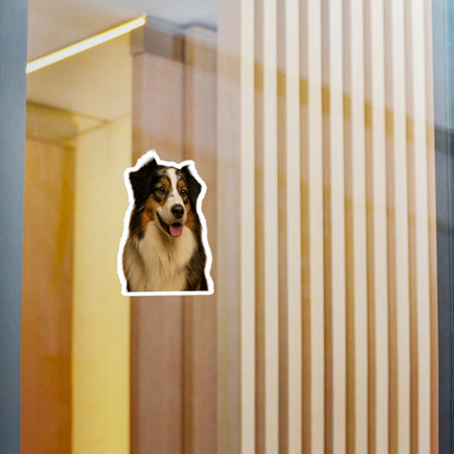 Aussie Head Vinyl Decal