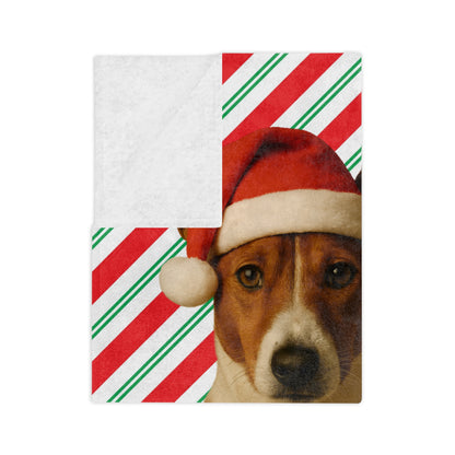 Santa Paws Basenji Velveteen Microfiber Blanket