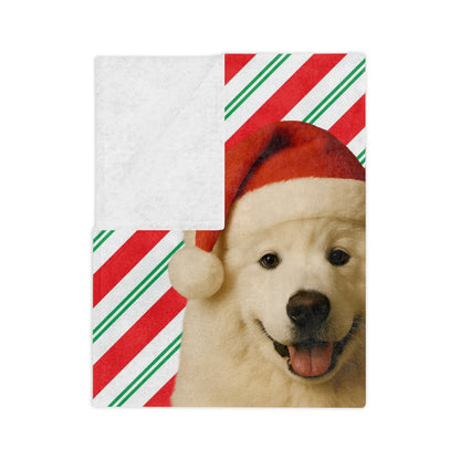 Santa Paws Samoyed Velveteen Microfiber Blanket