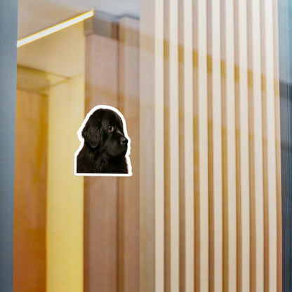 Newfie Head Vinyl Decal