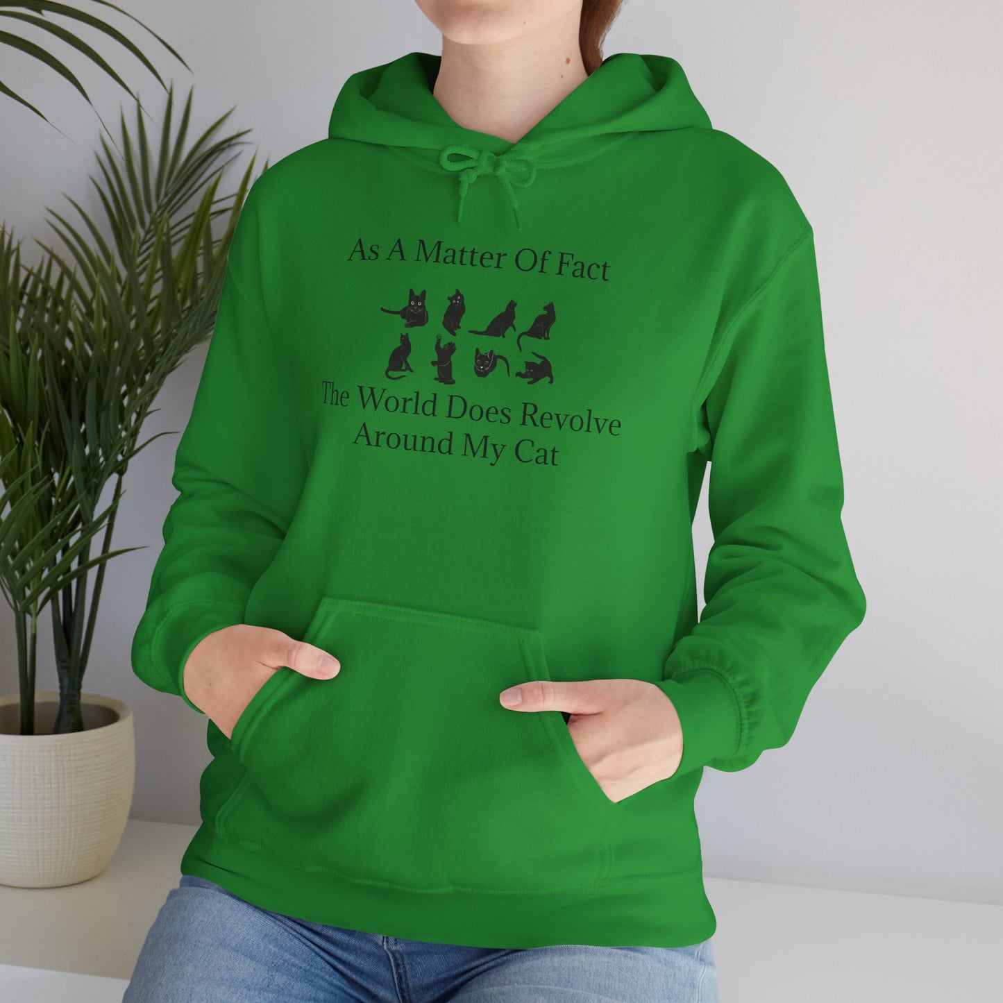 Matter Of Fact Cat Unisex Hoodie