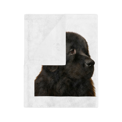 Newfie Head Velveteen Microfiber Blanket