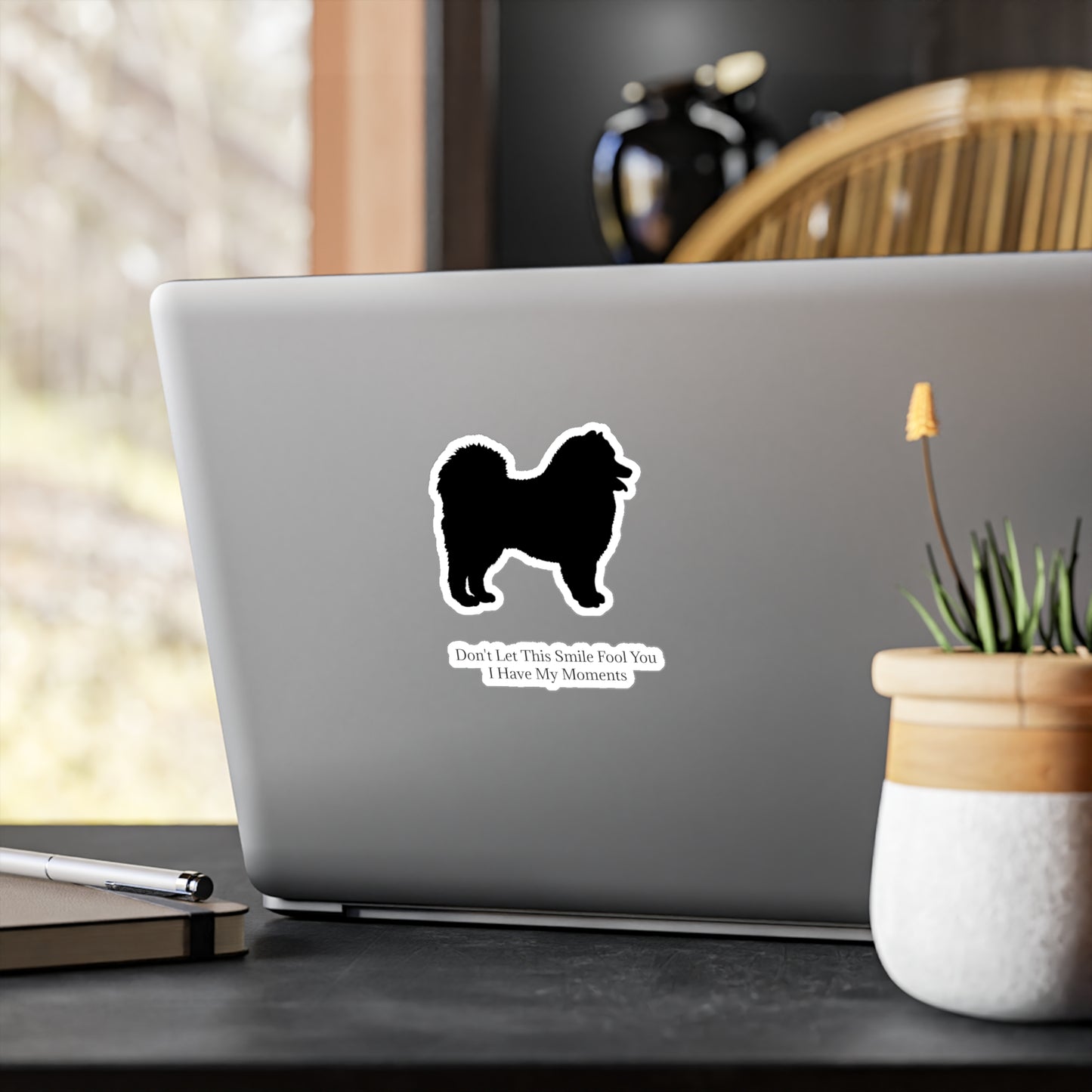 Fool You Vinyl Decal
