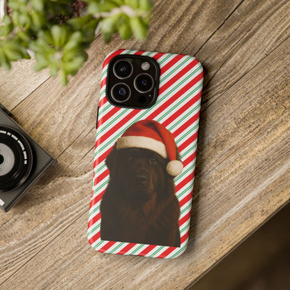Santa Paws Newfie iPhone Case