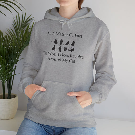 Matter Of Fact Cat Unisex Hoodie