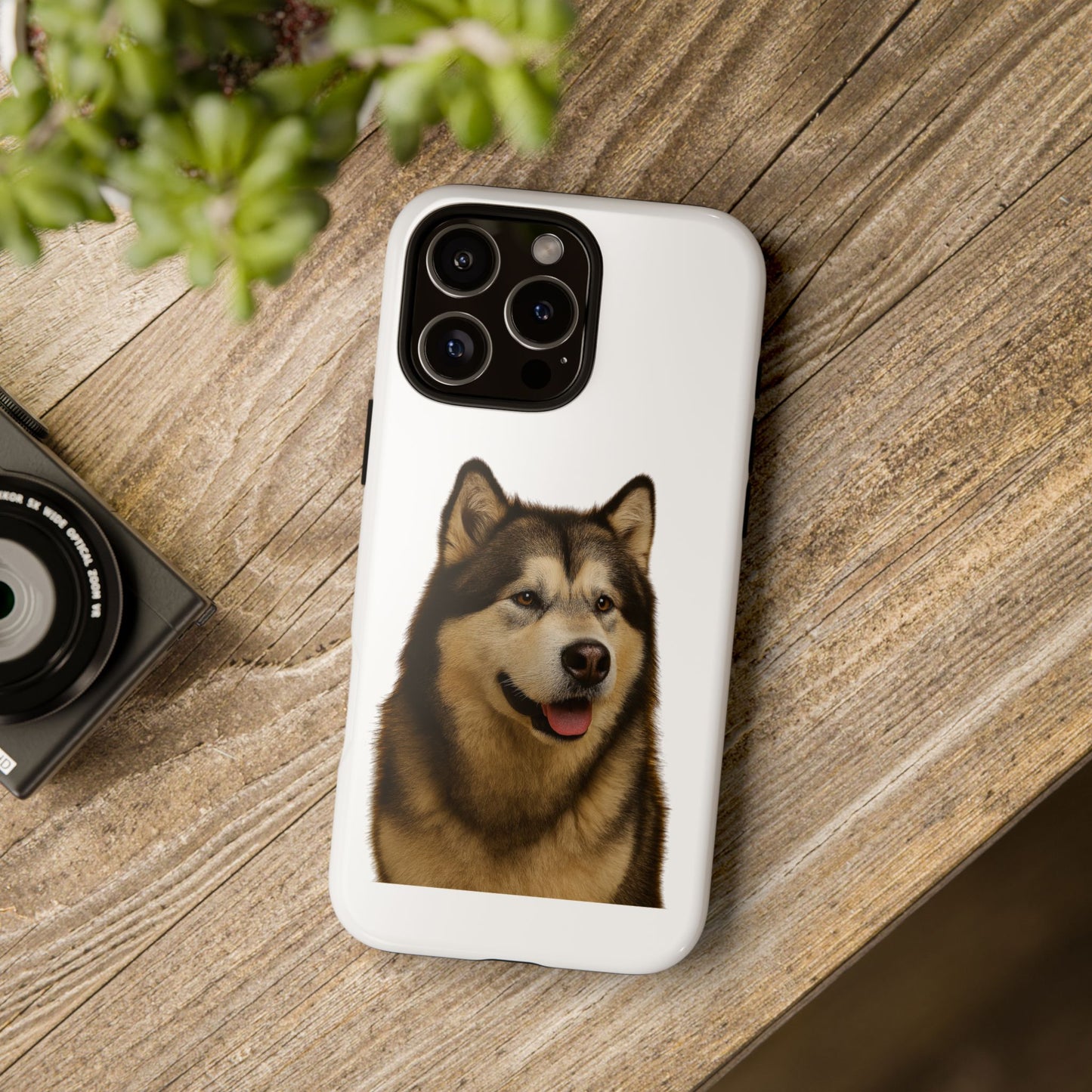 Malamute Head iPhone Case