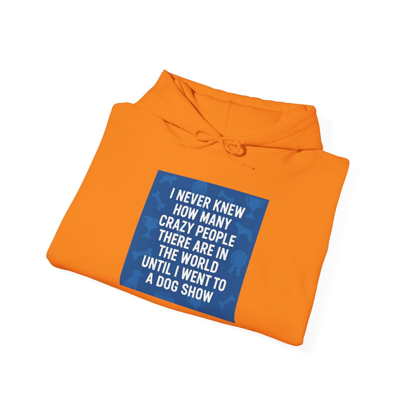 Never Knew Unisex Hoodie