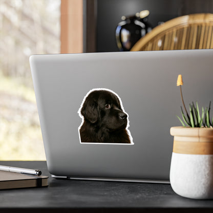 Newfie Head Vinyl Decal