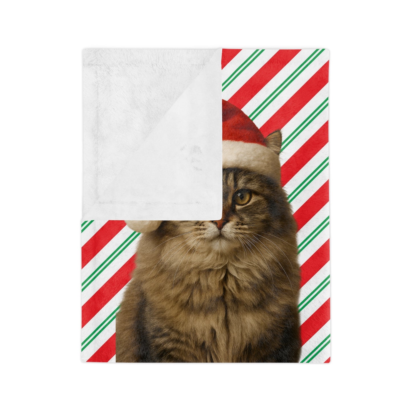 Santa Paws Cat Velveteen Microfiber Blanket