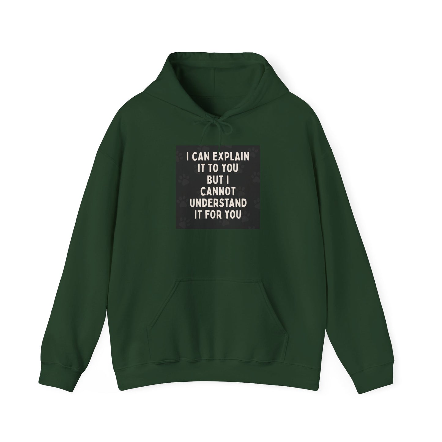 I Cannot Understand It For You Unisex Hoodie