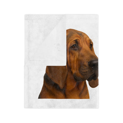 Bloodhound Head Velveteen Microfiber Blanket
