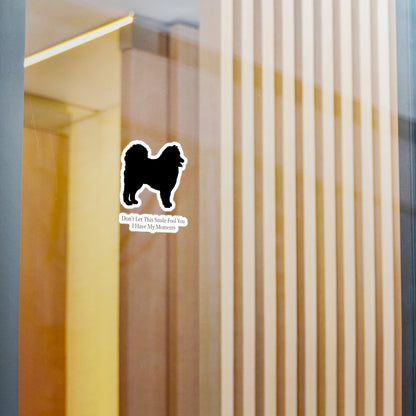 Fool You Vinyl Decal