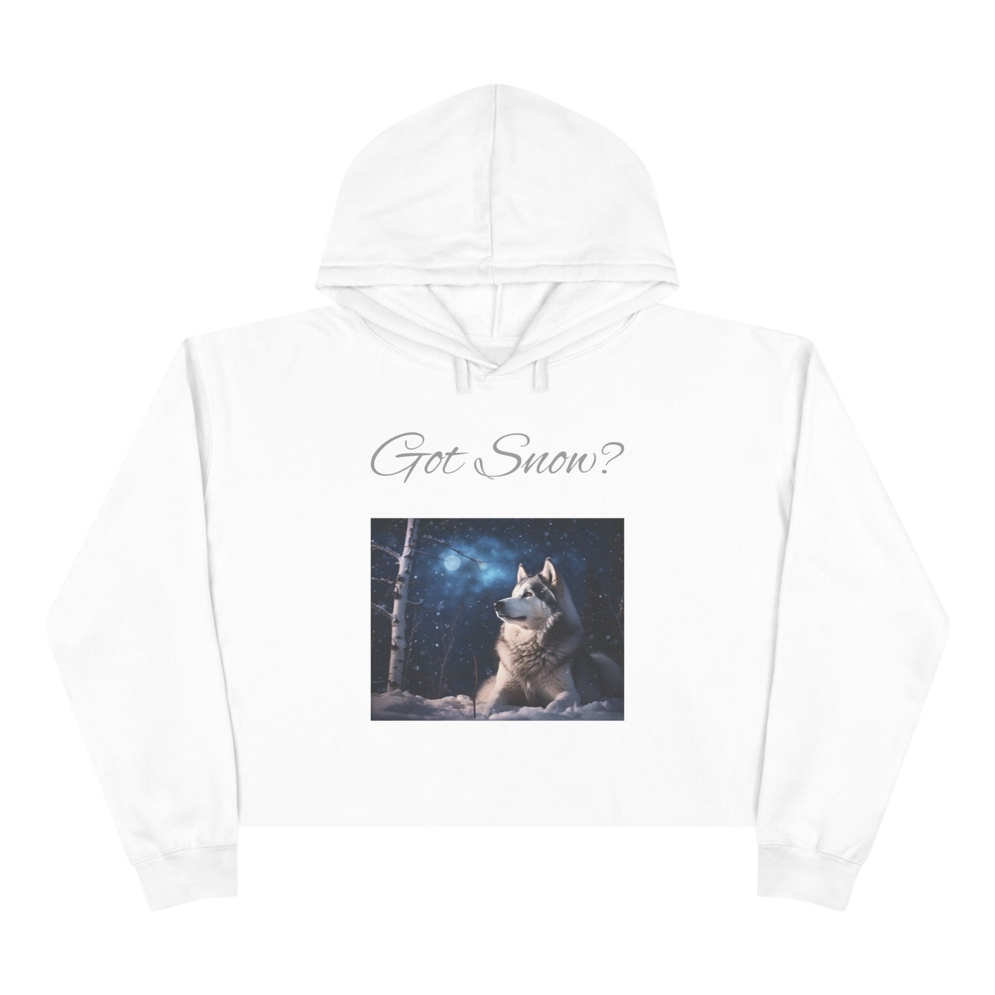 Got Snow? Women's Crop Hoodie