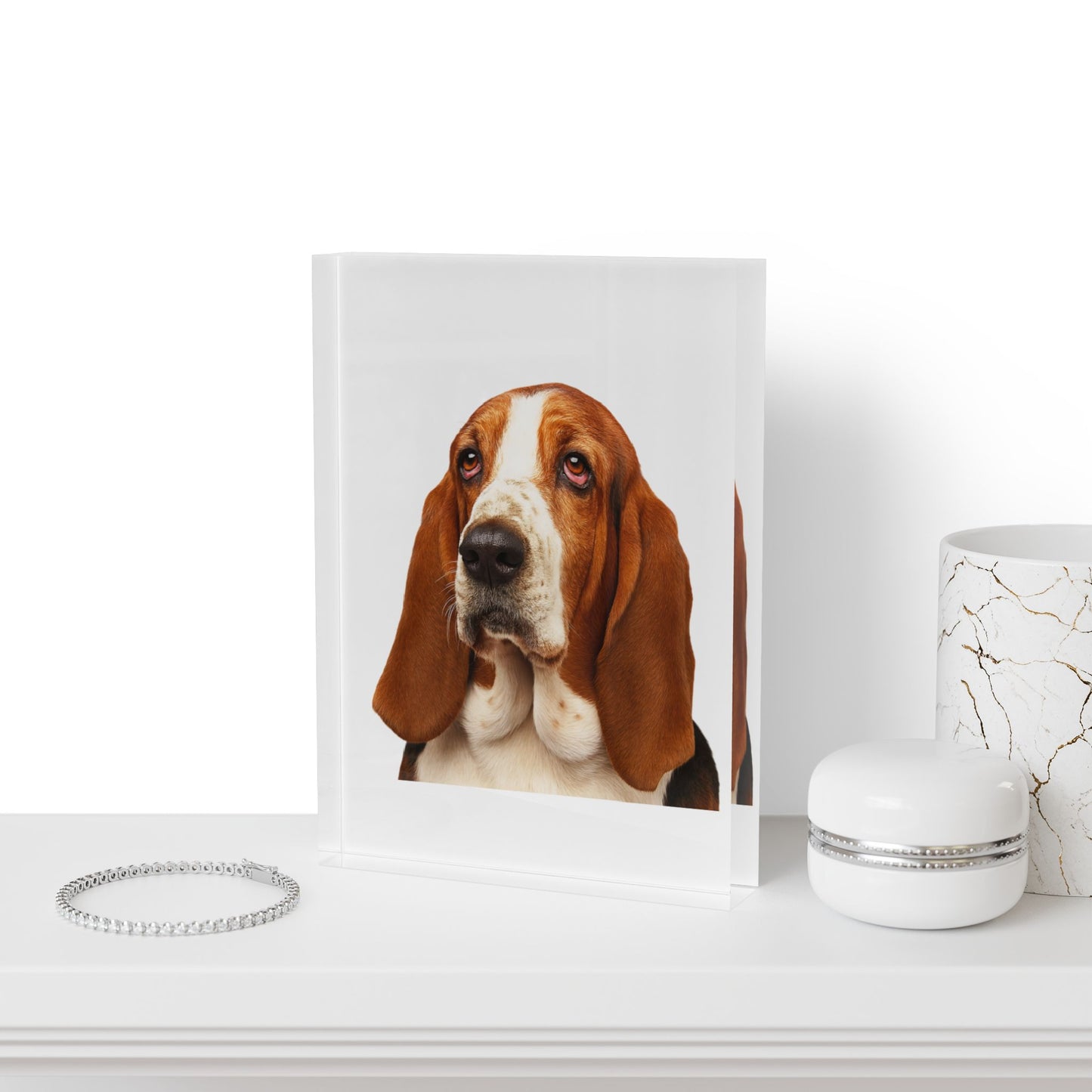 Basset Head Acrylic Photo Block
