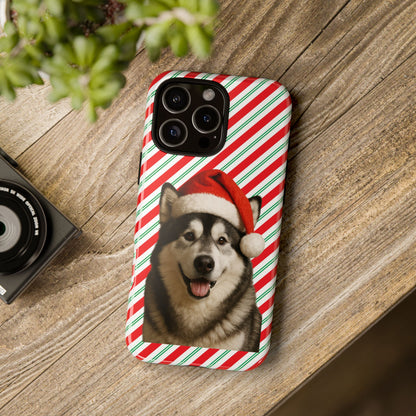 Santa Paws Malamute iPhone Case