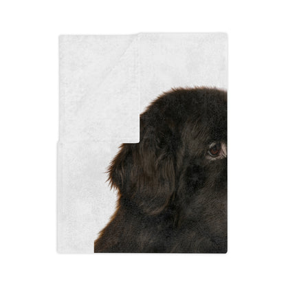 Newfie Head Velveteen Microfiber Blanket