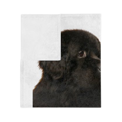 Newfie Head Velveteen Microfiber Blanket