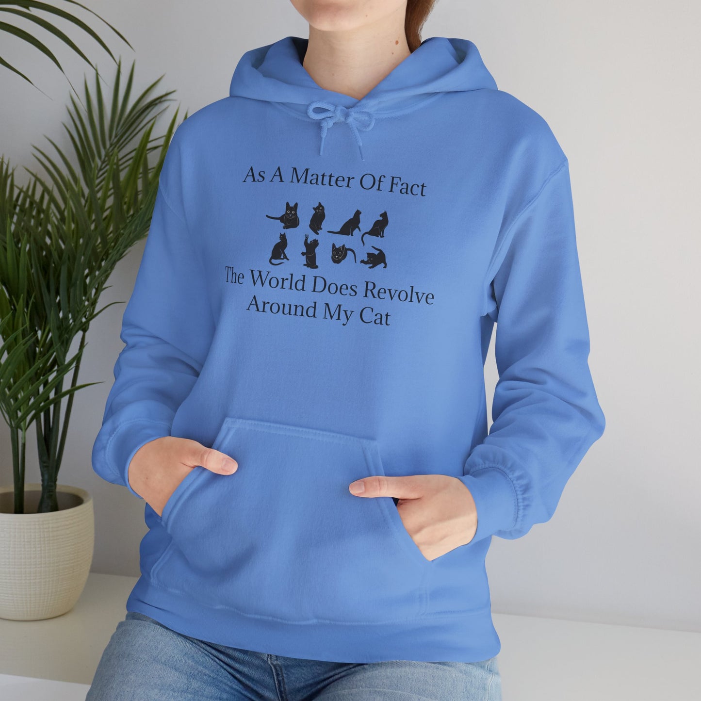 Matter Of Fact Cat Unisex Hoodie