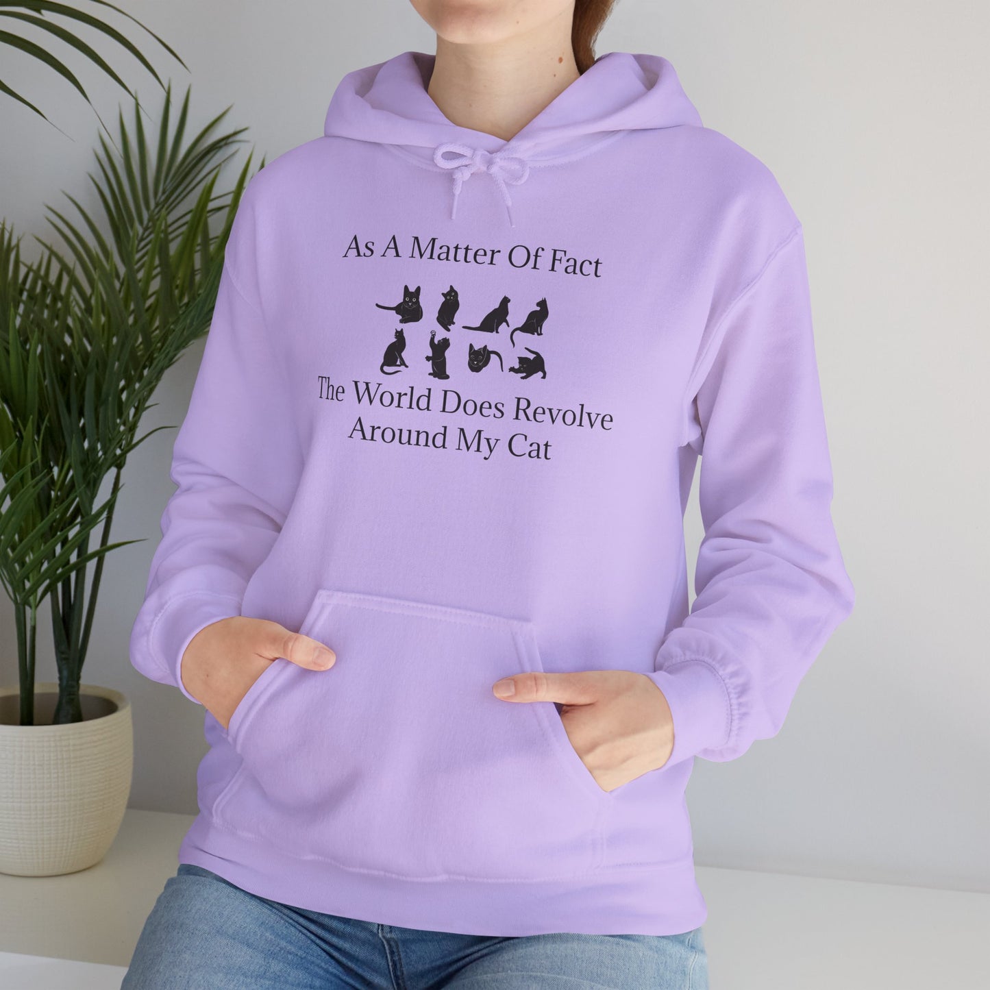 Matter Of Fact Cat Unisex Hoodie