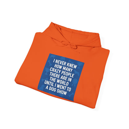 Never Knew Unisex Hoodie