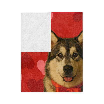 Cupid's Companion Malamute Velveteen Microfiber Blanket