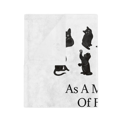 Matter Of Fact Cat Velveteen Microfiber Blanket
