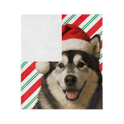 Santa Paws Malamute Velveteen Microfiber Blanket