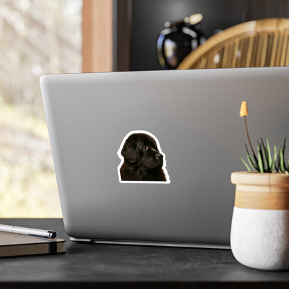 Newfie Head Vinyl Decal