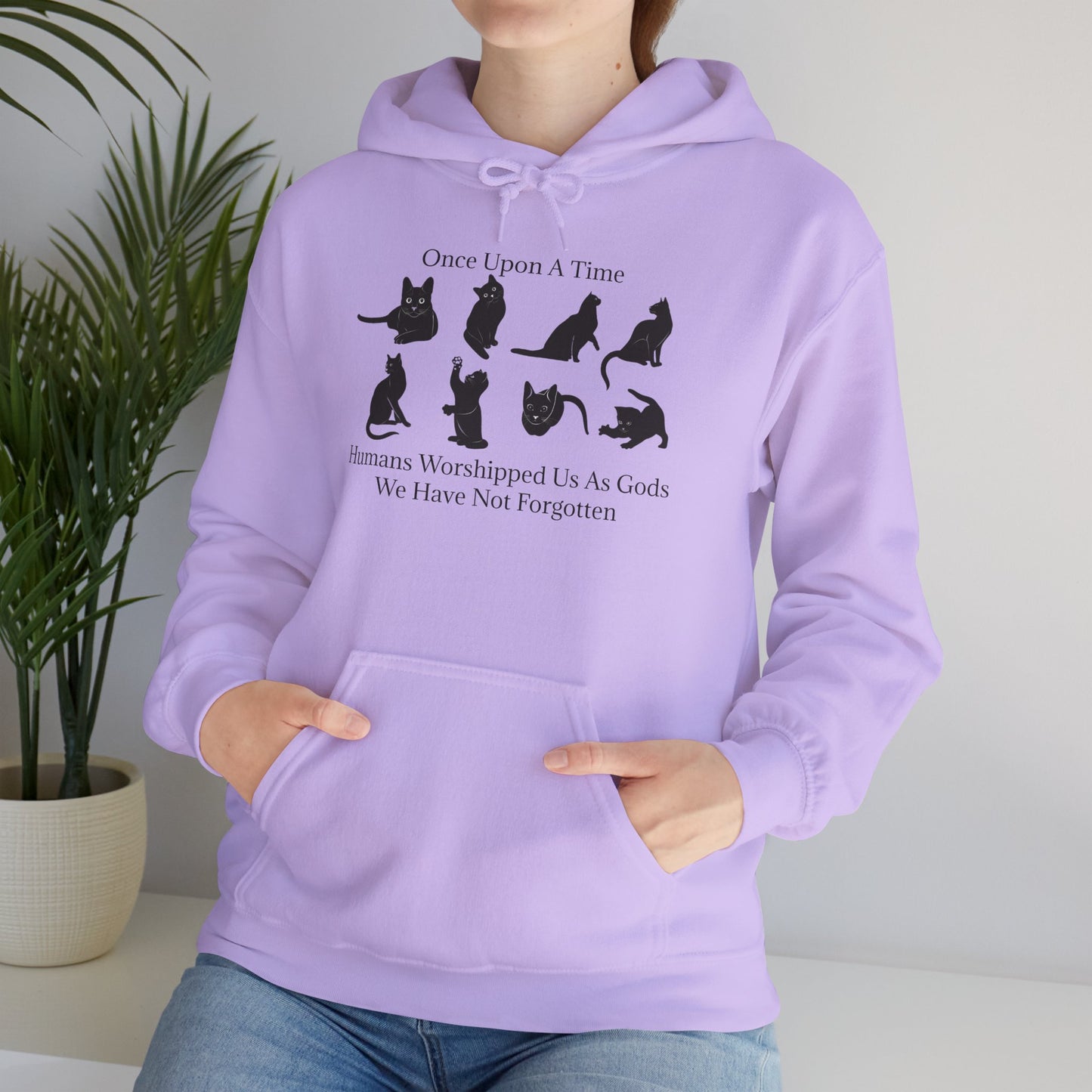 Once Upon A Time Unisex Hoodie