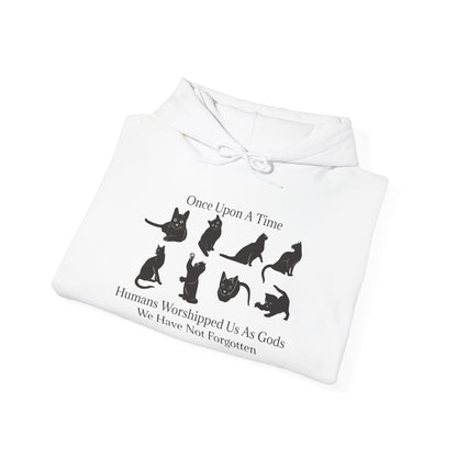 Once Upon A Time Unisex Hoodie