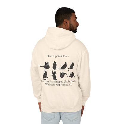 Once Upon A Time Unisex Lightweight Hoodie