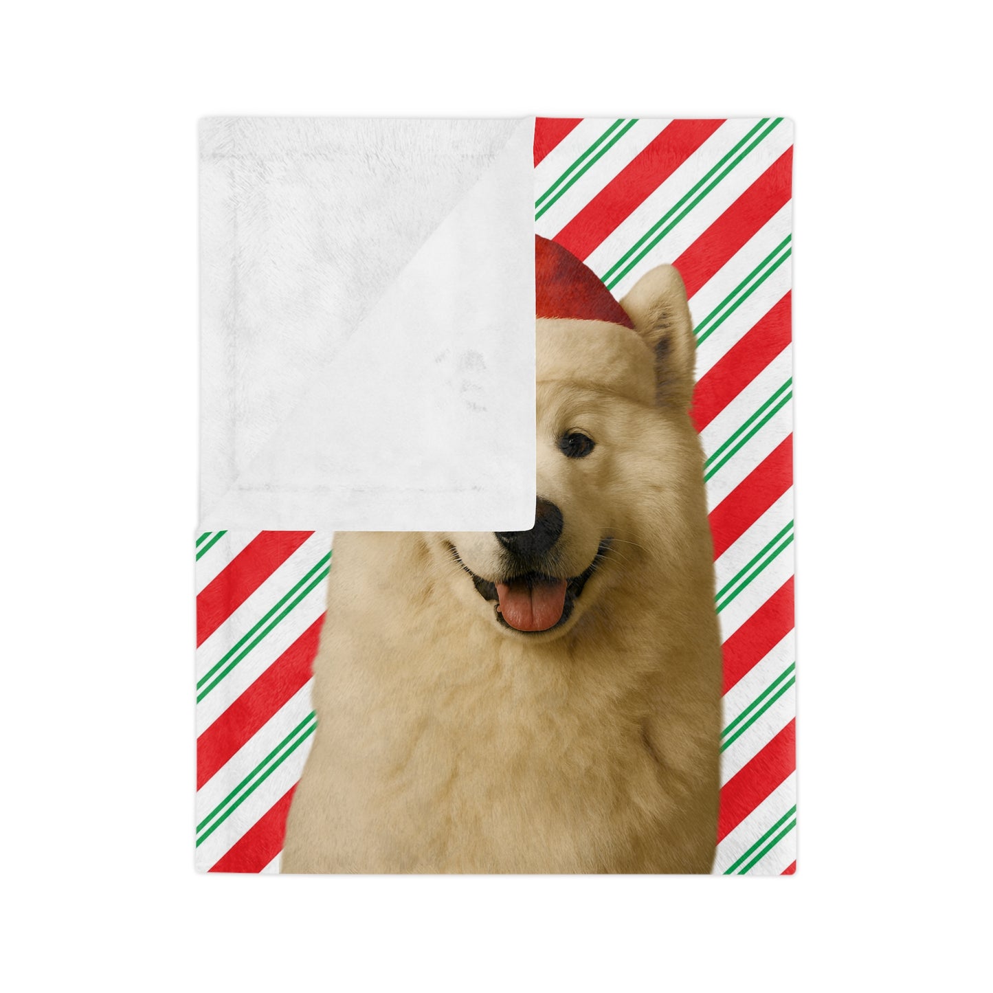 Santa Paws Samoyed Velveteen Microfiber Blanket